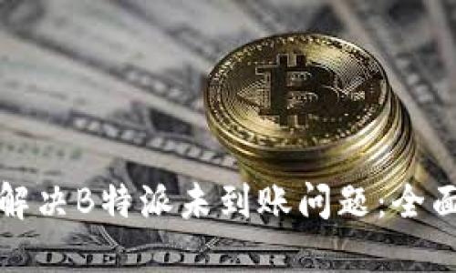 如何解决B特派未到账问题：全面指南